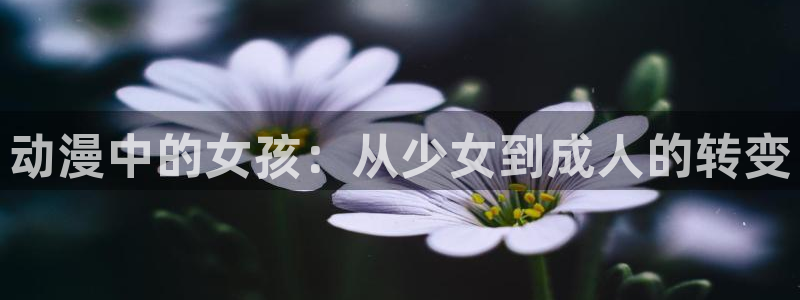 51动漫3.5.0版本